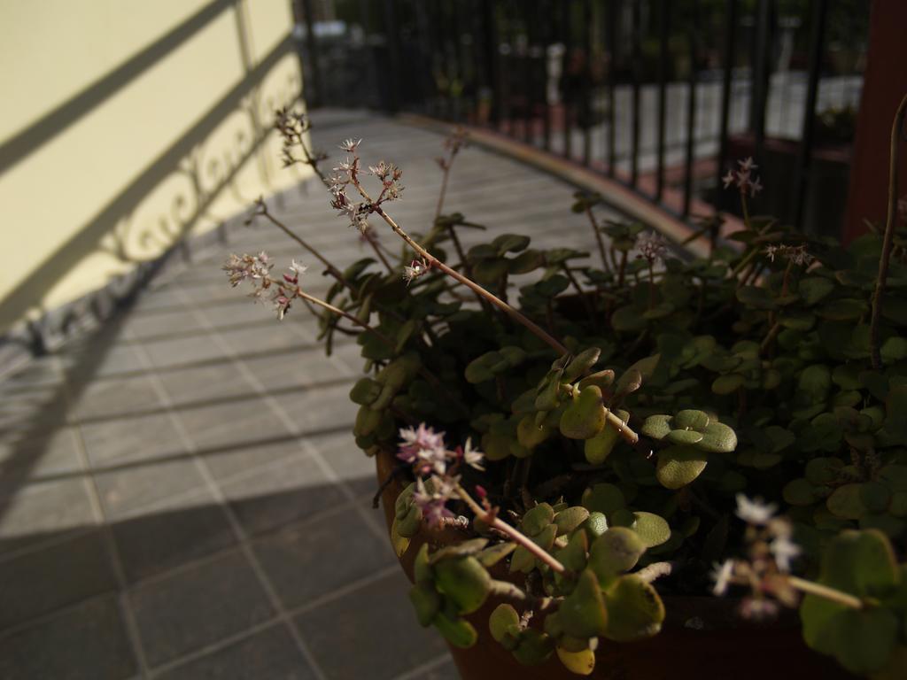 Una Noche Mas B & B Montevideo Zewnętrze zdjęcie
